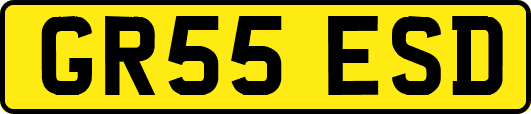 GR55ESD