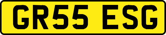 GR55ESG