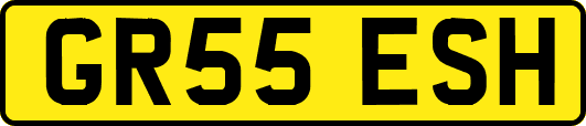GR55ESH