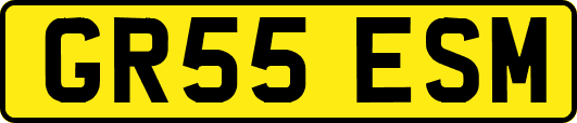 GR55ESM