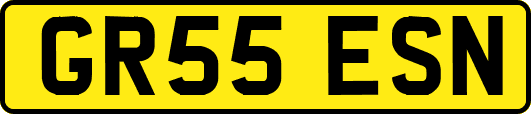 GR55ESN