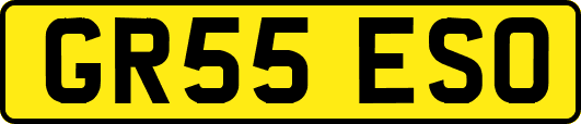 GR55ESO