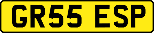 GR55ESP