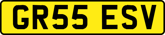 GR55ESV