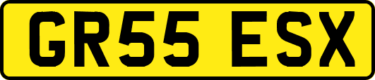 GR55ESX