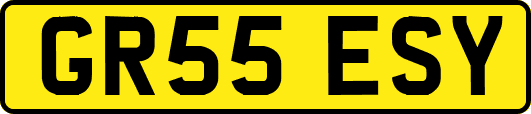 GR55ESY