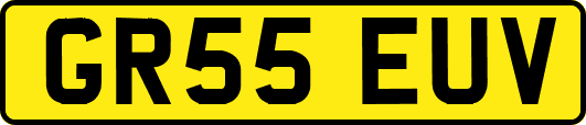 GR55EUV