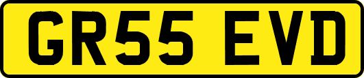 GR55EVD