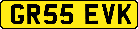 GR55EVK