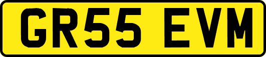 GR55EVM