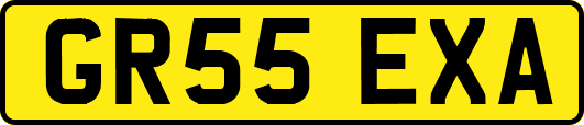 GR55EXA