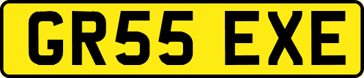 GR55EXE