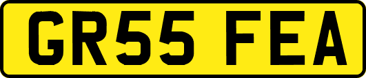 GR55FEA