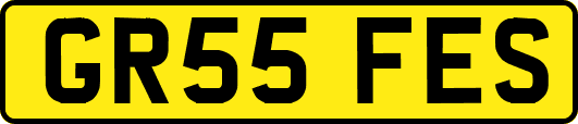GR55FES