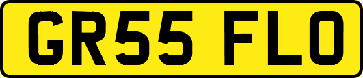 GR55FLO