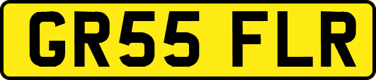 GR55FLR