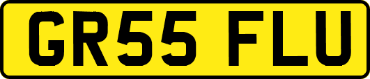 GR55FLU