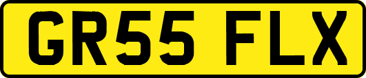 GR55FLX