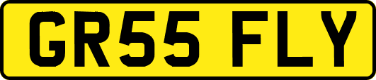 GR55FLY