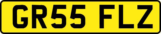 GR55FLZ