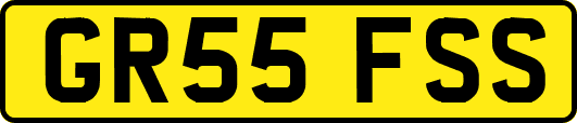 GR55FSS
