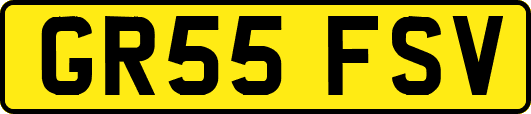 GR55FSV