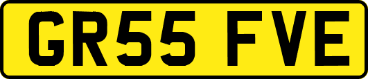 GR55FVE