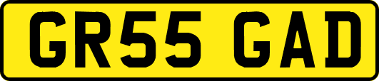 GR55GAD