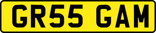 GR55GAM