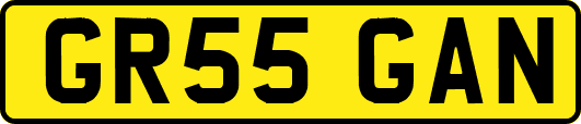 GR55GAN