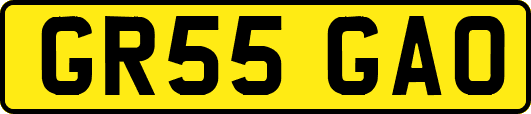 GR55GAO