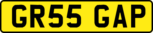 GR55GAP