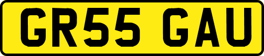 GR55GAU