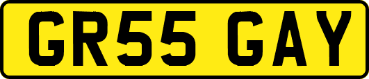 GR55GAY