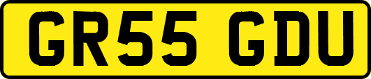 GR55GDU