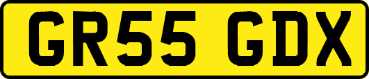 GR55GDX