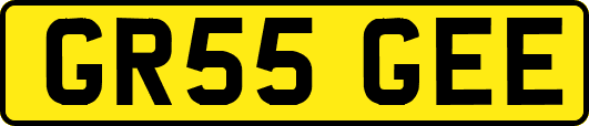 GR55GEE