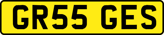 GR55GES