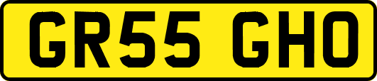 GR55GHO
