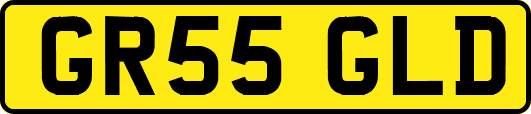 GR55GLD