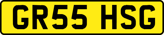 GR55HSG