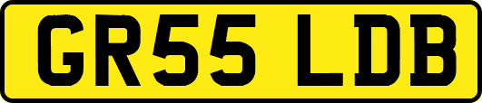 GR55LDB
