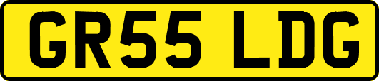 GR55LDG