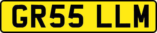 GR55LLM