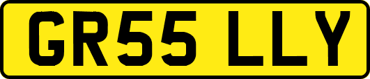 GR55LLY