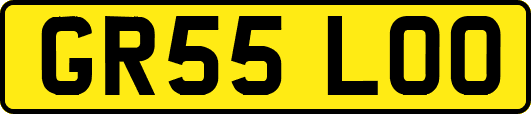 GR55LOO