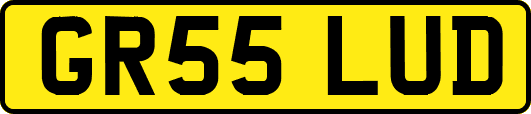 GR55LUD