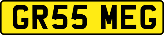 GR55MEG