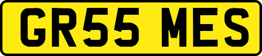 GR55MES
