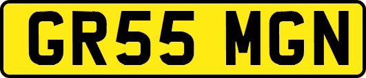 GR55MGN
